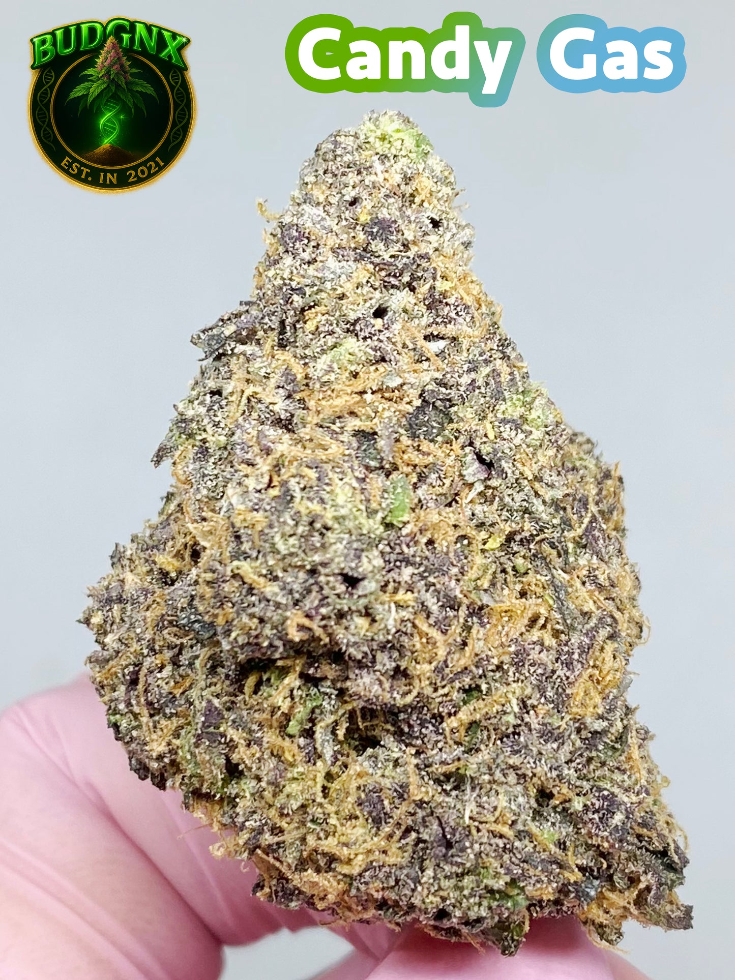 Indoor Exotic - CANDY GAS ⛽️