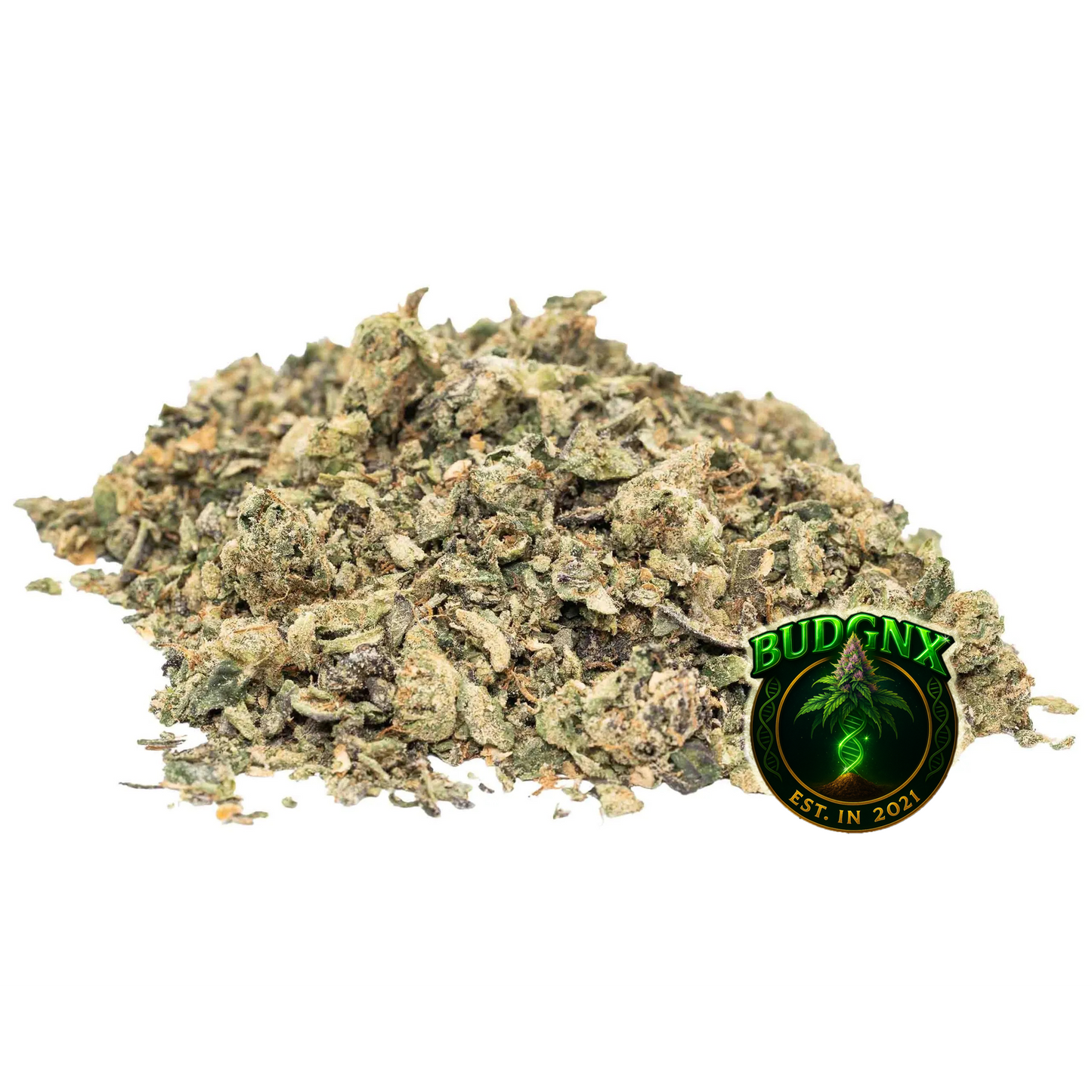 π¨ LIMITED DROP: Indoor Super Shake π¨