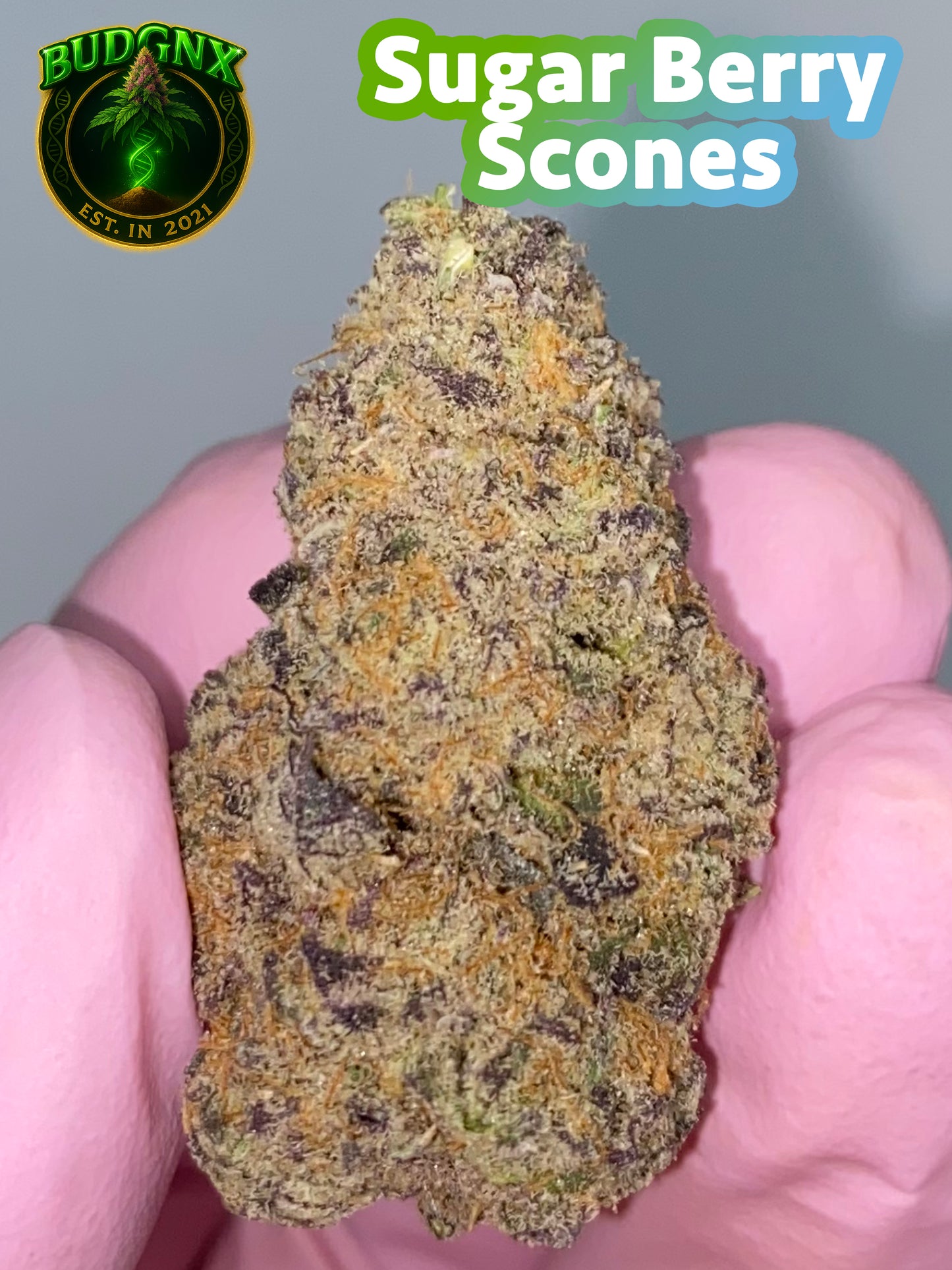 🌿 Indoor Exotic - $130 oz